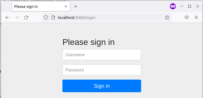 Spring security login page